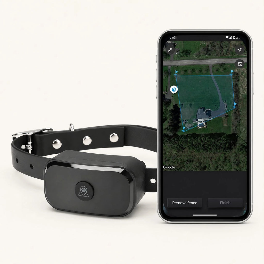 gps dog fence collar and smartphone displaying a map on a white background