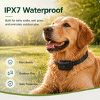 Golden retriever wearing the GF02e IPX7 waterproof GPS dog fence collar outdoors on wet grass