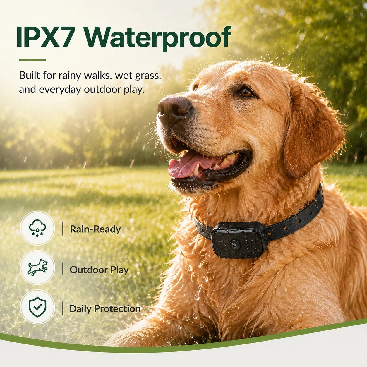 Golden retriever wearing the GF02e IPX7 waterproof GPS dog fence collar outdoors on wet grass