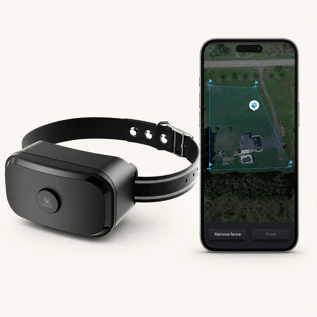 GF03 GPS dog fence collar with app boundary setup