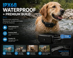 Dog wearing GF03 IPX68 waterproof GPS dog fence collar outdoors